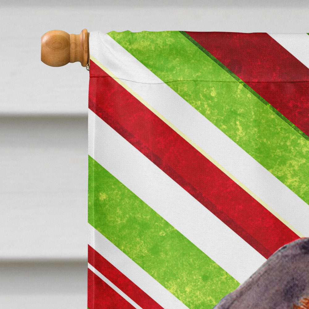 Dachshund Candy Cane Holiday Christmas House Flag 28x40 Porch Sleeve Pole Decorative Outside Yard Banner Artwork Wall Hanging, Polyester