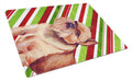Brussels Griffon Candy Cane Holiday Christmas Cutting Board Tempered Glass Kitchen Cutting Surface, Heat Resistant Chopping, Non-Slip Feet, Food Prep & Serving