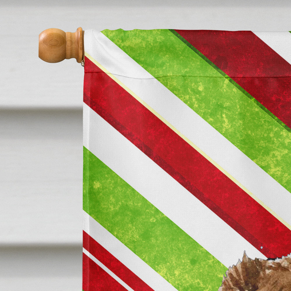 Australian Shepherd Candy Cane Holiday Christmas House Flag 28x40 Porch Sleeve Pole Decorative Outside Yard Banner Artwork Wall Hanging, Polyester