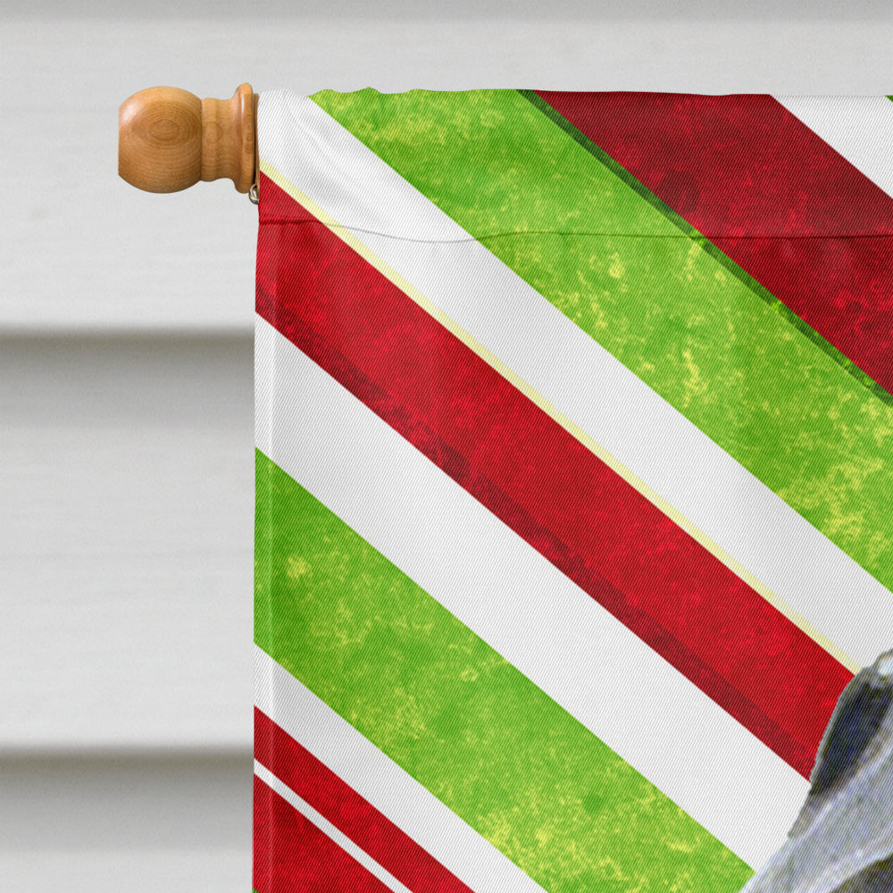 Flat Coated Retriever Candy Cane Holiday Christmas House Flag 28x40 Porch Sleeve Pole Decorative Outside Yard Banner Artwork Wall Hanging, Polyester