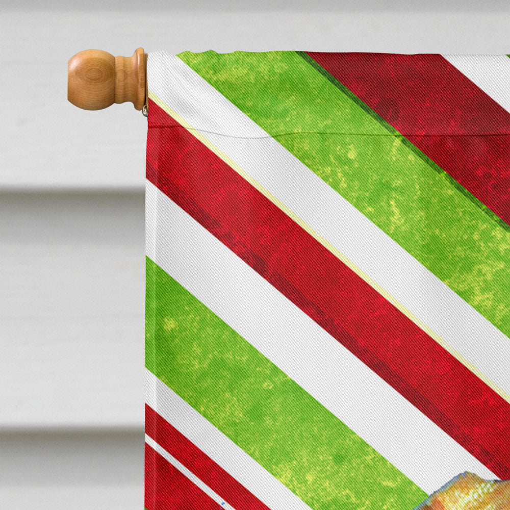 Vizsla Candy Cane Holiday Christmas House Flag 28x40 Porch Sleeve Pole Decorative Outside Yard Banner Artwork Wall Hanging, Polyester