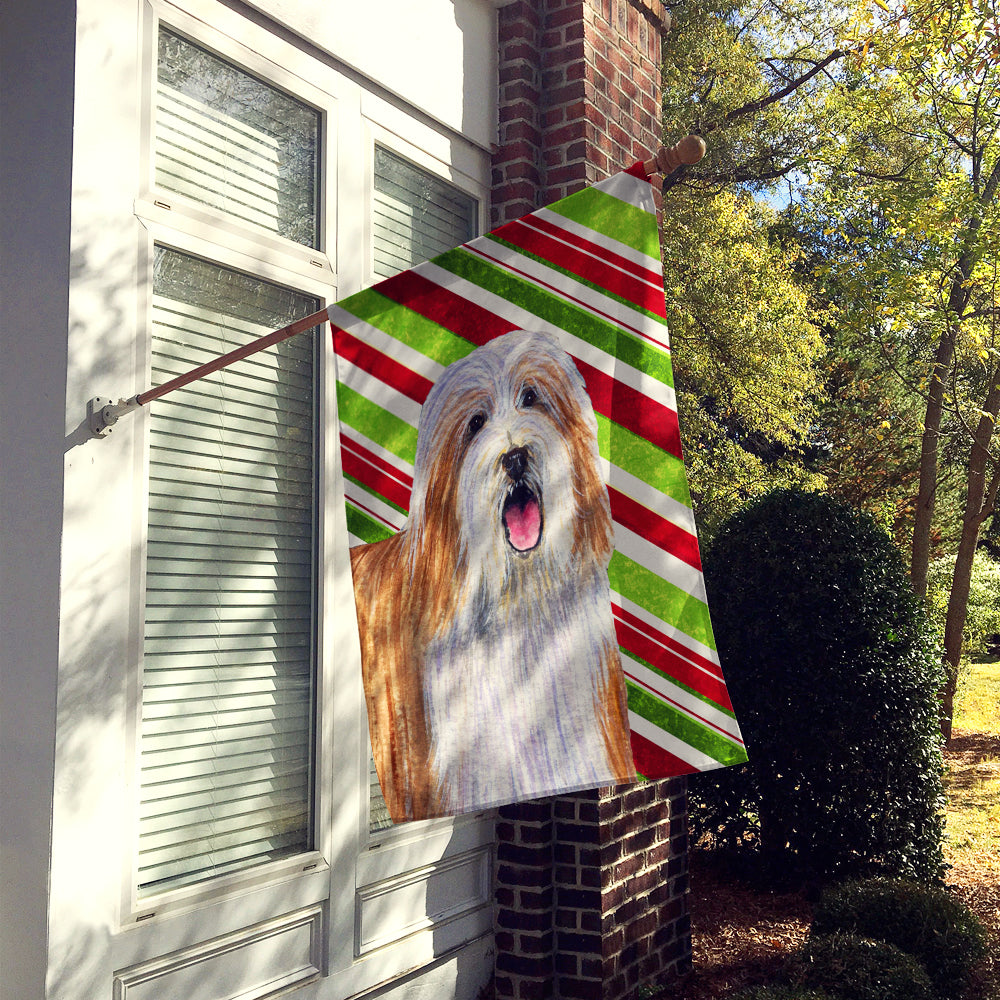 Bearded Collie Candy Cane Holiday Christmas House Flag 28x40 Porch Sleeve Pole Decorative Outside Yard Banner Artwork Wall Hanging, Polyester