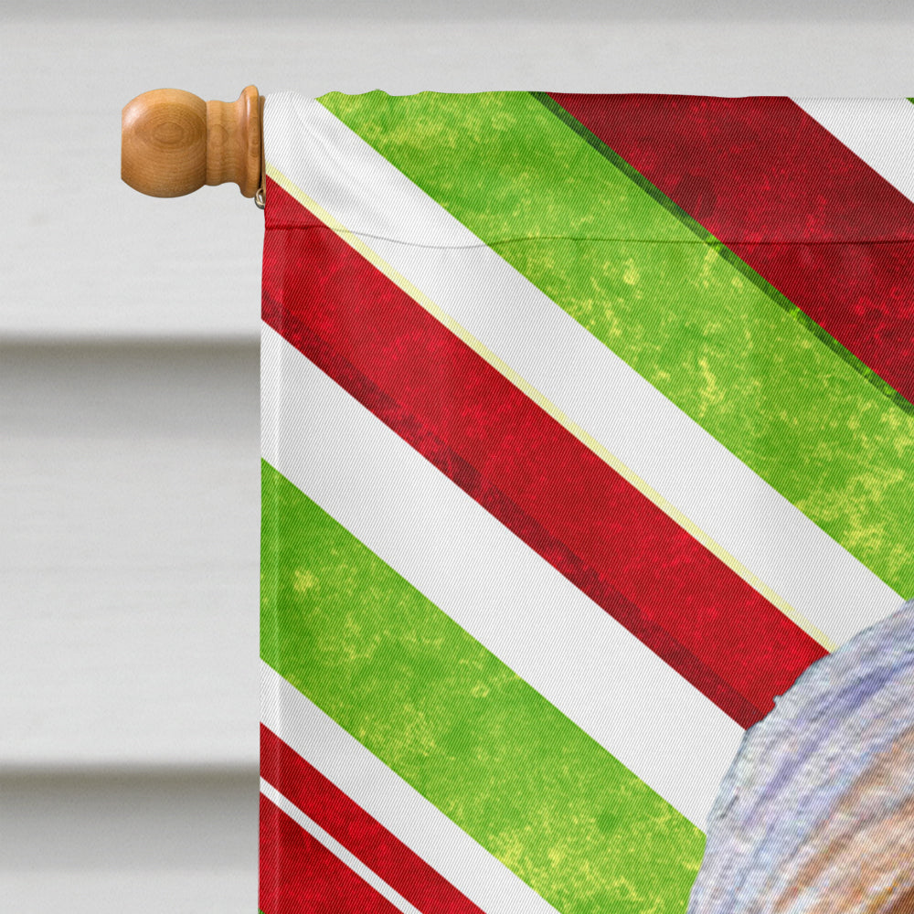 Bearded Collie Candy Cane Holiday Christmas House Flag 28x40 Porch Sleeve Pole Decorative Outside Yard Banner Artwork Wall Hanging, Polyester