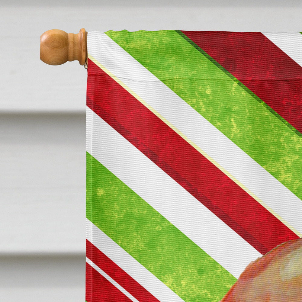 Basset Hound Candy Cane Holiday Christmas House Flag 28x40 Porch Sleeve Pole Decorative Outside Yard Banner Artwork Wall Hanging, Polyester