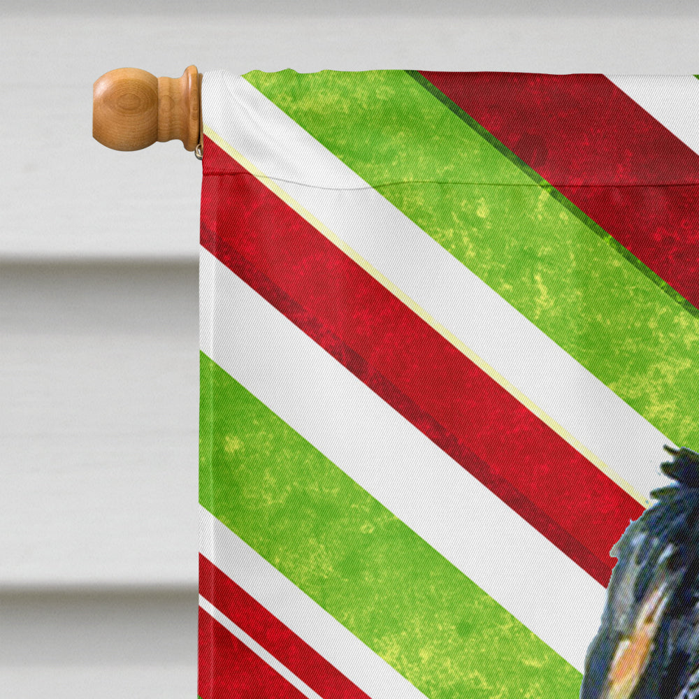 Bernese Mountain Dog Candy Cane Holiday Christmas House Flag 28x40 Porch Sleeve Pole Decorative Outside Yard Banner Artwork Wall Hanging, Polyester