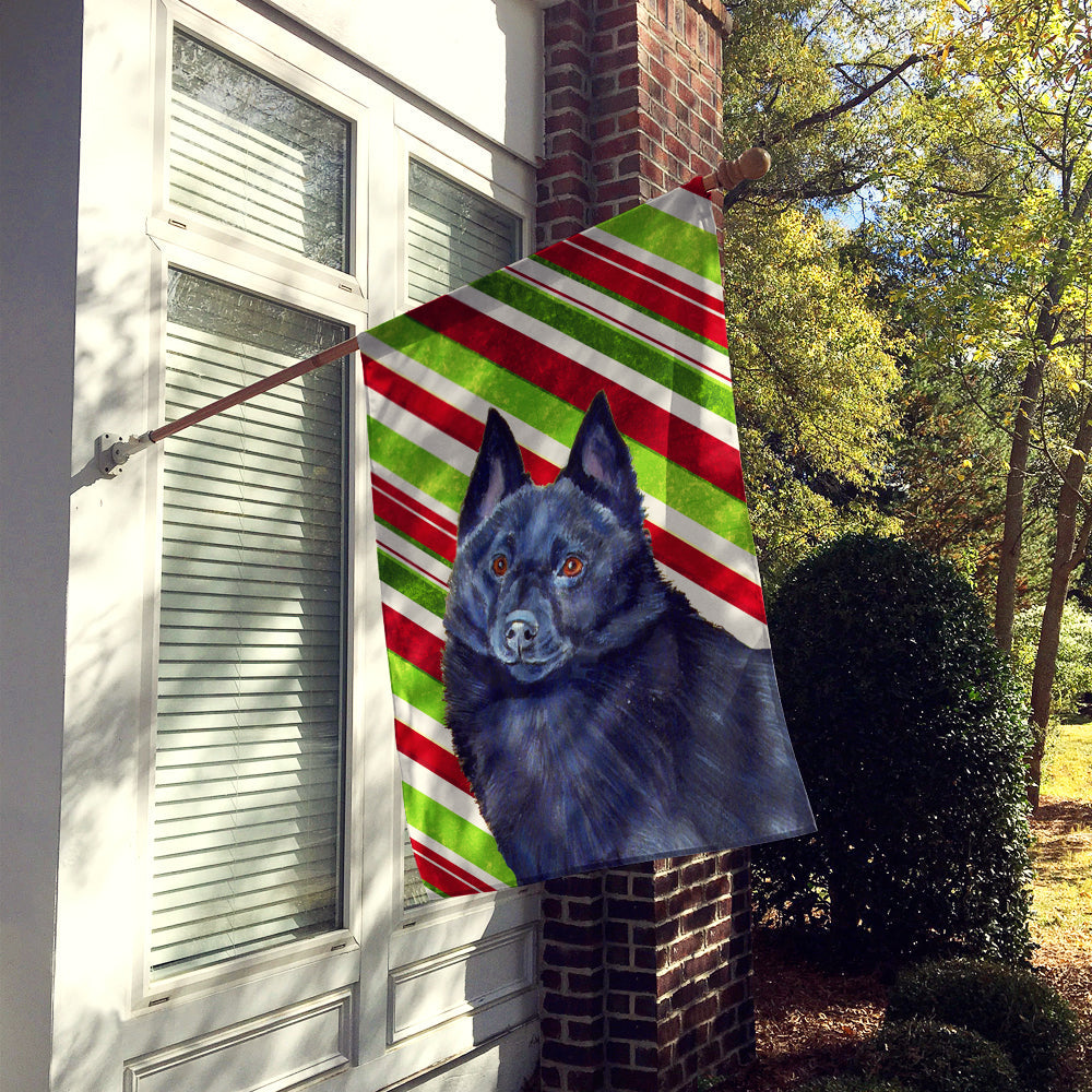 Schipperke Candy Cane Holiday Christmas House Flag 28x40 Porch Sleeve Pole Decorative Outside Yard Banner Artwork Wall Hanging, Polyester