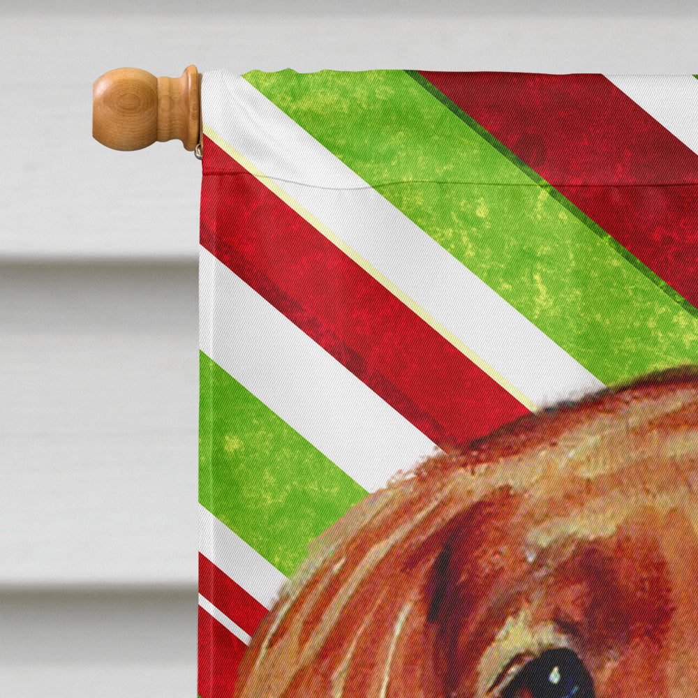 Irish Setter Candy Cane Holiday Christmas House Flag 28x40 Porch Sleeve Pole Decorative Outside Yard Banner Artwork Wall Hanging, Polyester