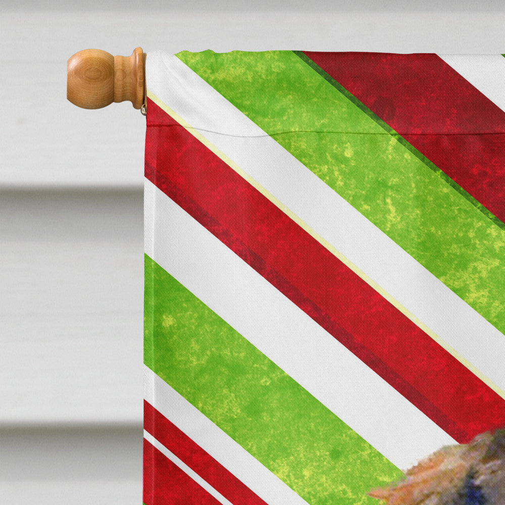 Dachshund Candy Cane Holiday Christmas House Flag 28x40 Porch Sleeve Pole Decorative Outside Yard Banner Artwork Wall Hanging, Polyester