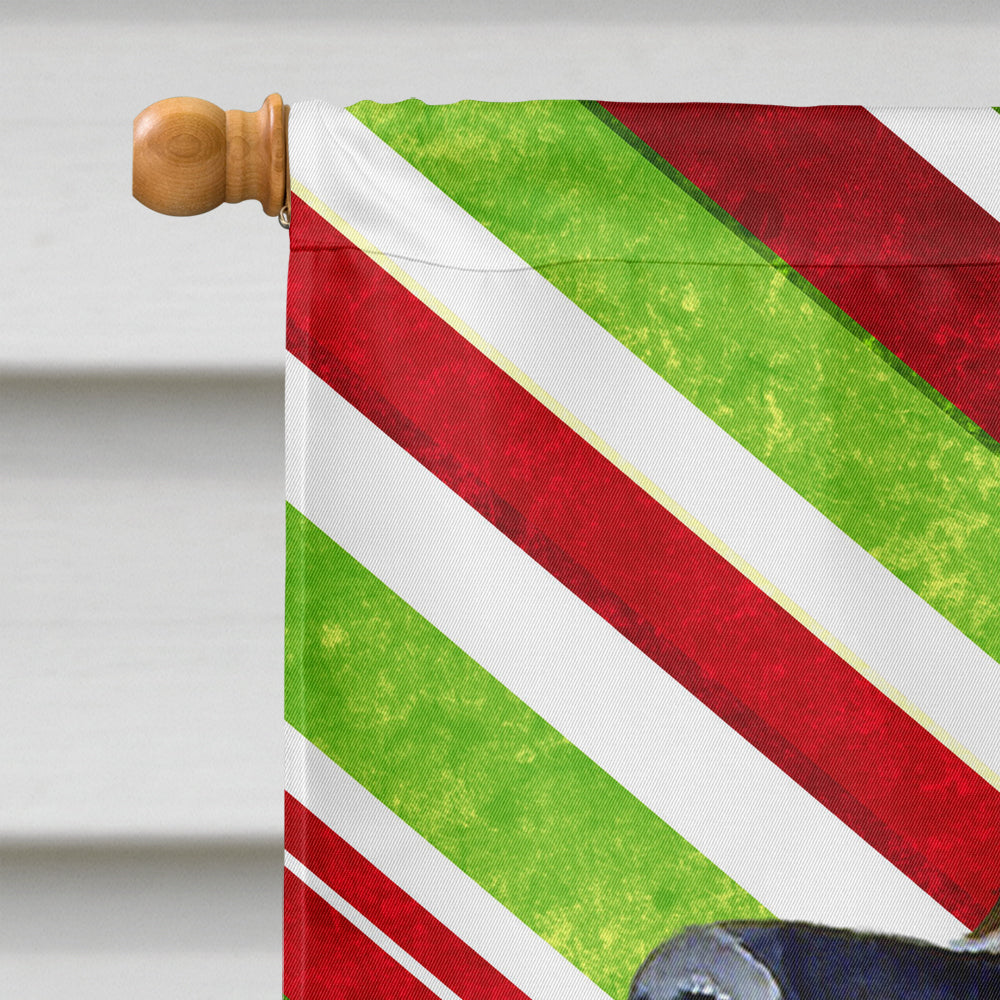 Leonberger Candy Cane Holiday Christmas House Flag 28x40 Porch Sleeve Pole Decorative Outside Yard Banner Artwork Wall Hanging, Polyester
