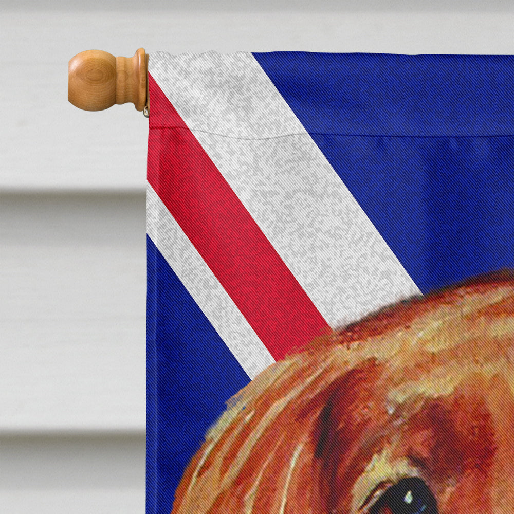 Irish Setter with English Union Jack British Flag House Flag 28x40 Porch Sleeve Pole Decorative Outside Yard Banner Artwork Wall Hanging, Polyester