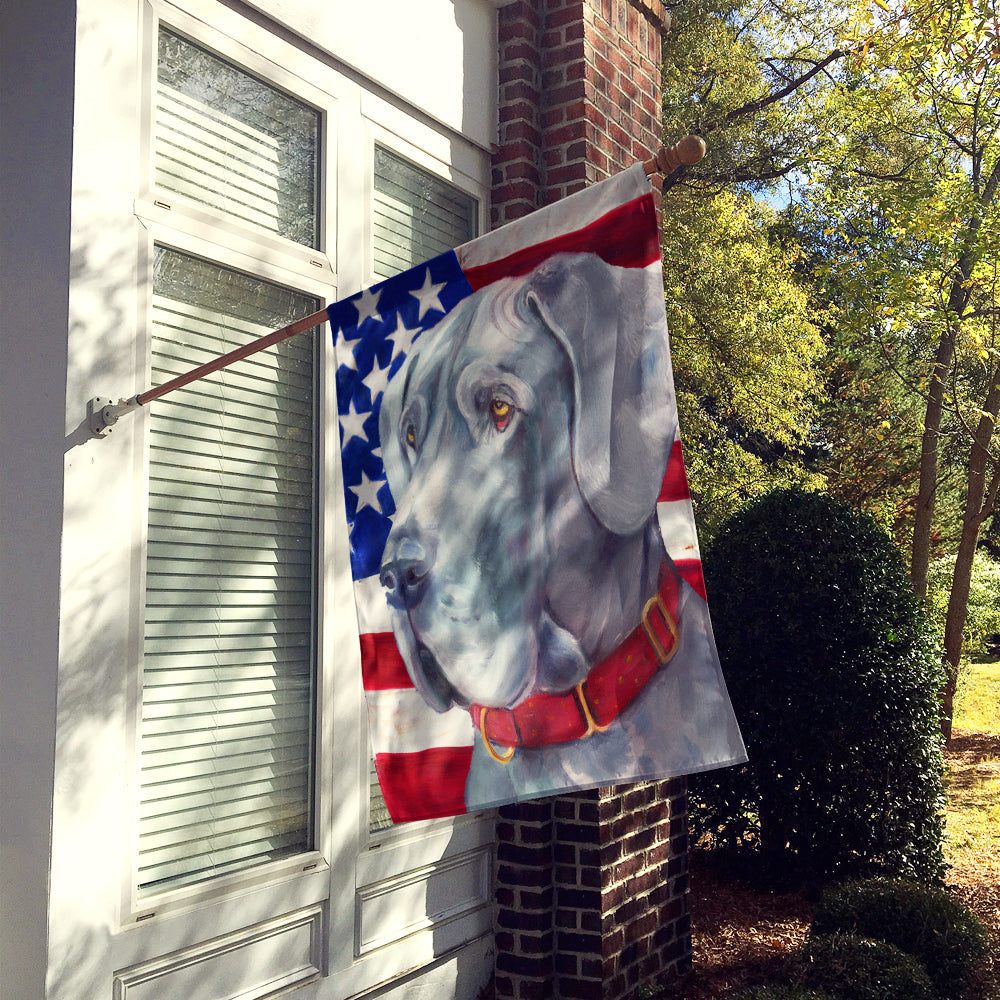 Great Dane USA Patriotic American Flag House Flag 28x40 Porch Sleeve Pole Decorative Outside Yard Banner Artwork Wall Hanging, Polyester