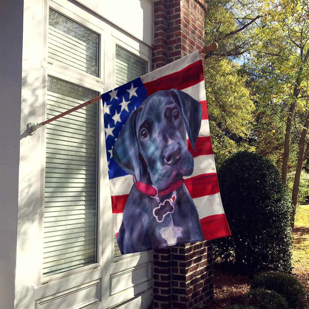 Black Great Dane Puppy USA Patriotic American Flag House Flag 28x40 Porch Sleeve Pole Decorative Outside Yard Banner Artwork Wall Hanging, Polyester
