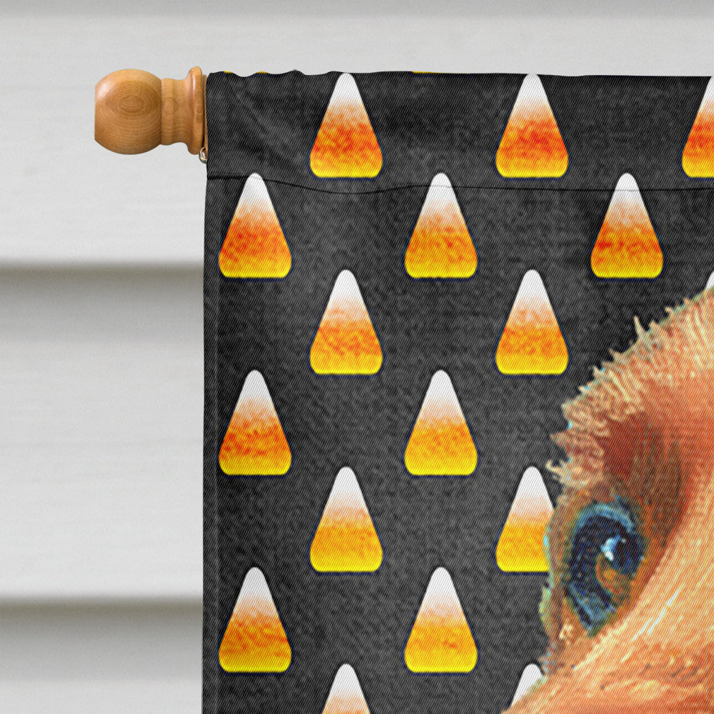 Irish Setter Candy Corn Halloween House Flag 28x40 Porch Sleeve Pole Decorative Outside Yard Banner Artwork Wall Hanging, Polyester