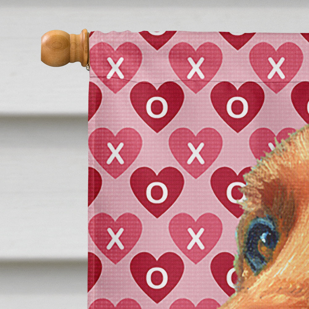 Irish Setter Hearts Love and Valentine's Day House Flag 28x40 Porch Sleeve Pole Decorative Outside Yard Banner Artwork Wall Hanging, Polyester