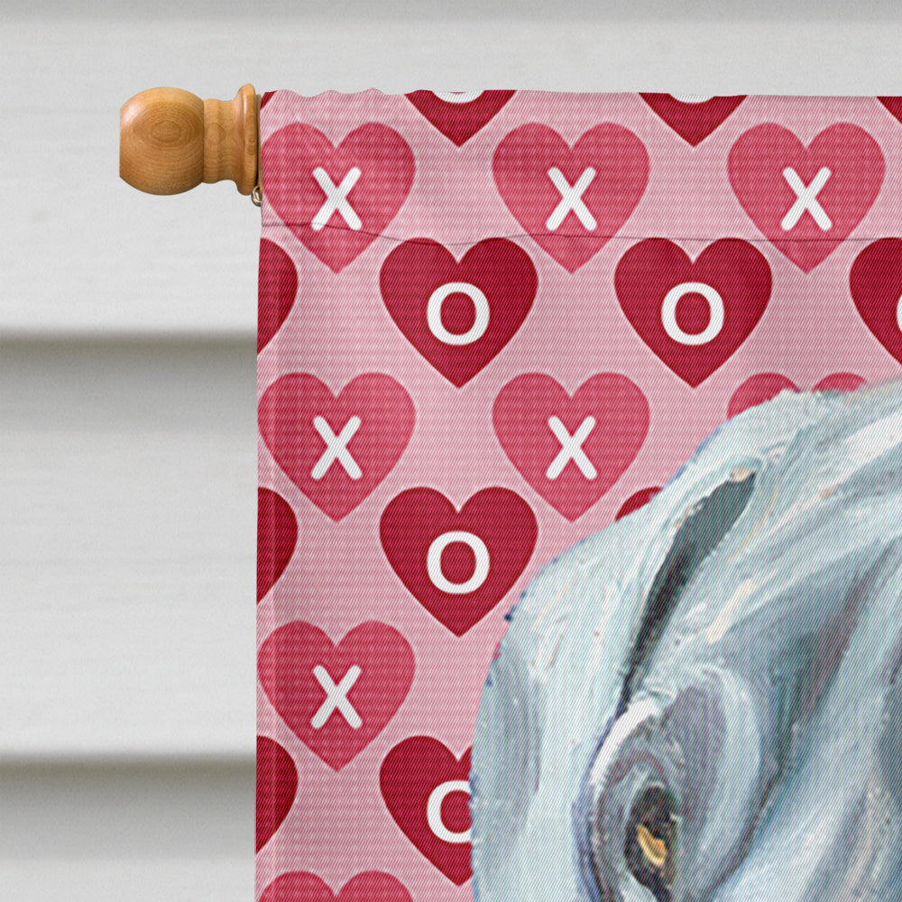 Great Dane Hearts Love and Valentine's Day House Flag 28x40 Porch Sleeve Pole Decorative Outside Yard Banner Artwork Wall Hanging, Polyester