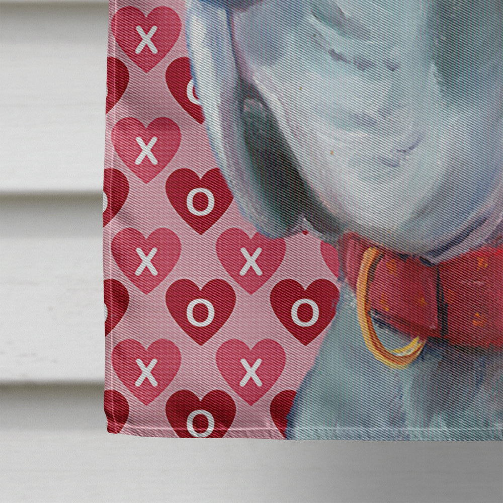 Great Dane Hearts Love and Valentine's Day House Flag 28x40 Porch Sleeve Pole Decorative Outside Yard Banner Artwork Wall Hanging, Polyester