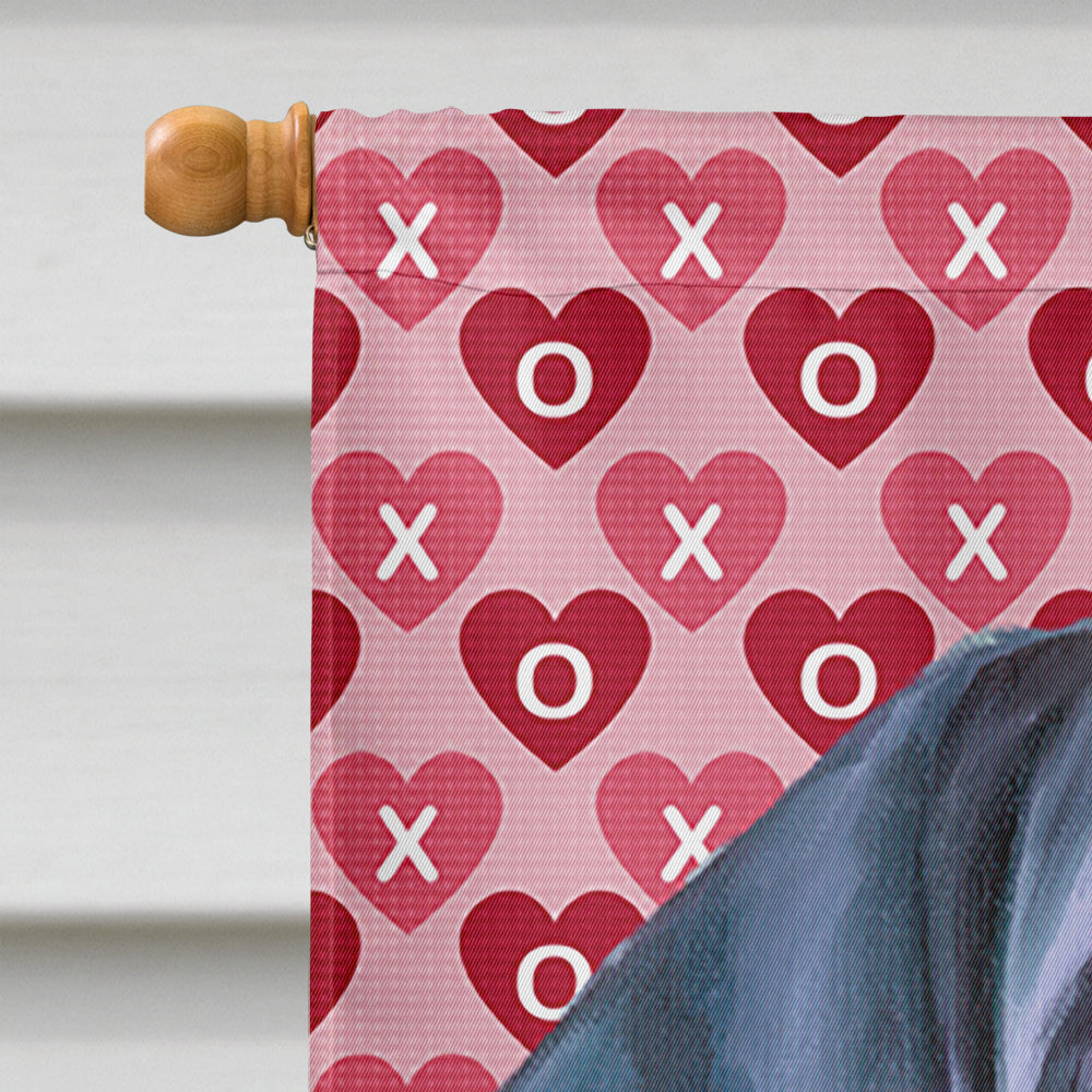 Black Great Dane Puppy Hearts Love and Valentine's Day House Flag 28x40 Porch Sleeve Pole Decorative Outside Yard Banner Artwork Wall Hanging, Polyester