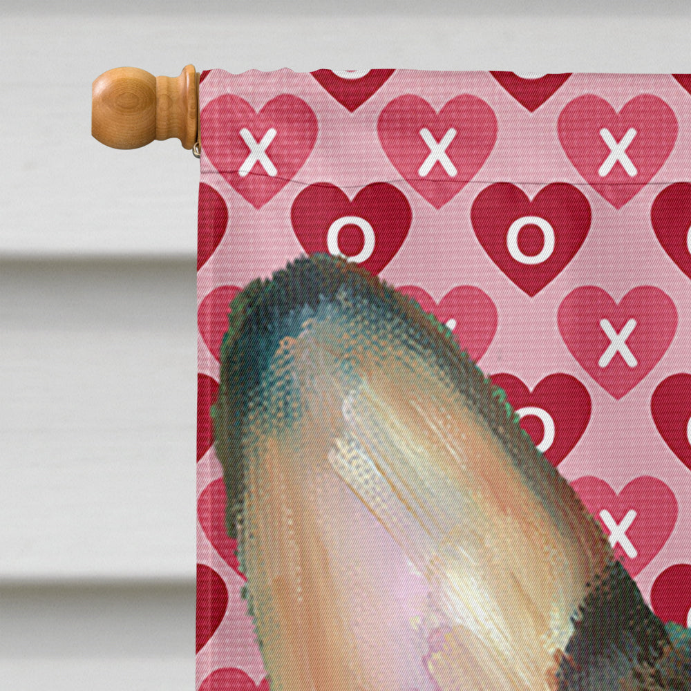 Corgi Hearts Love and Valentine's Day House Flag 28x40 Porch Sleeve Pole Decorative Outside Yard Banner Artwork Wall Hanging, Polyester