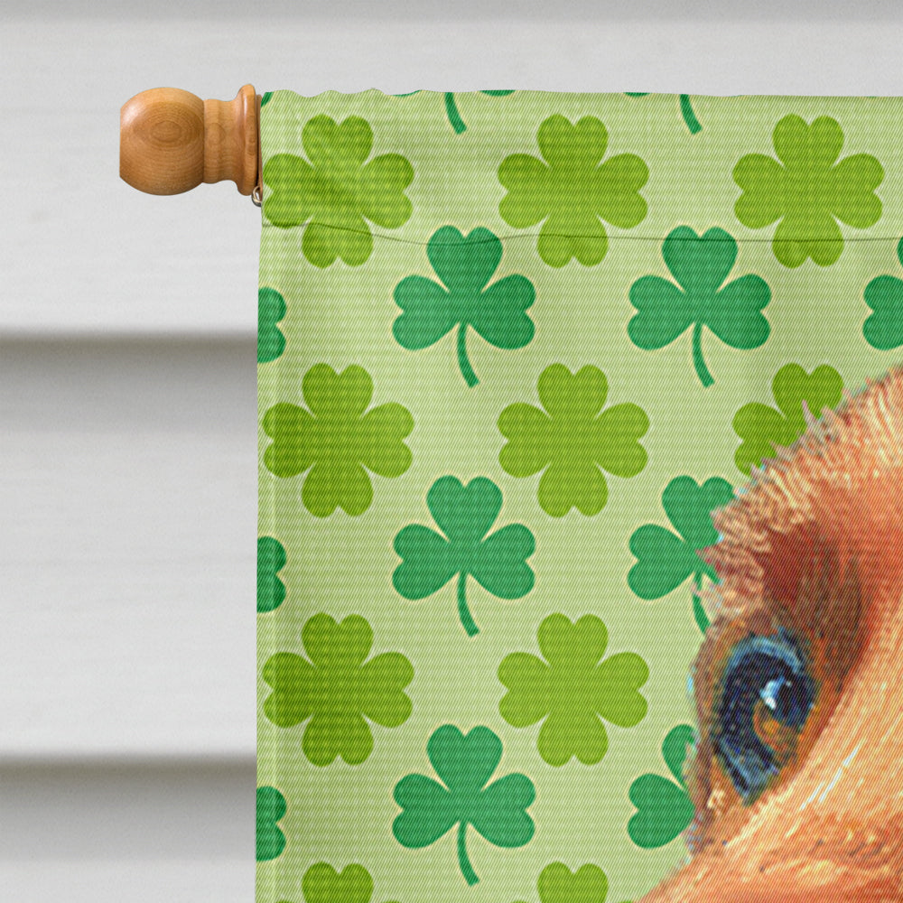 Irish Setter St. Patrick's Day Shamrock House Flag 28x40 Porch Sleeve Pole Decorative Outside Yard Banner Artwork Wall Hanging, Polyester