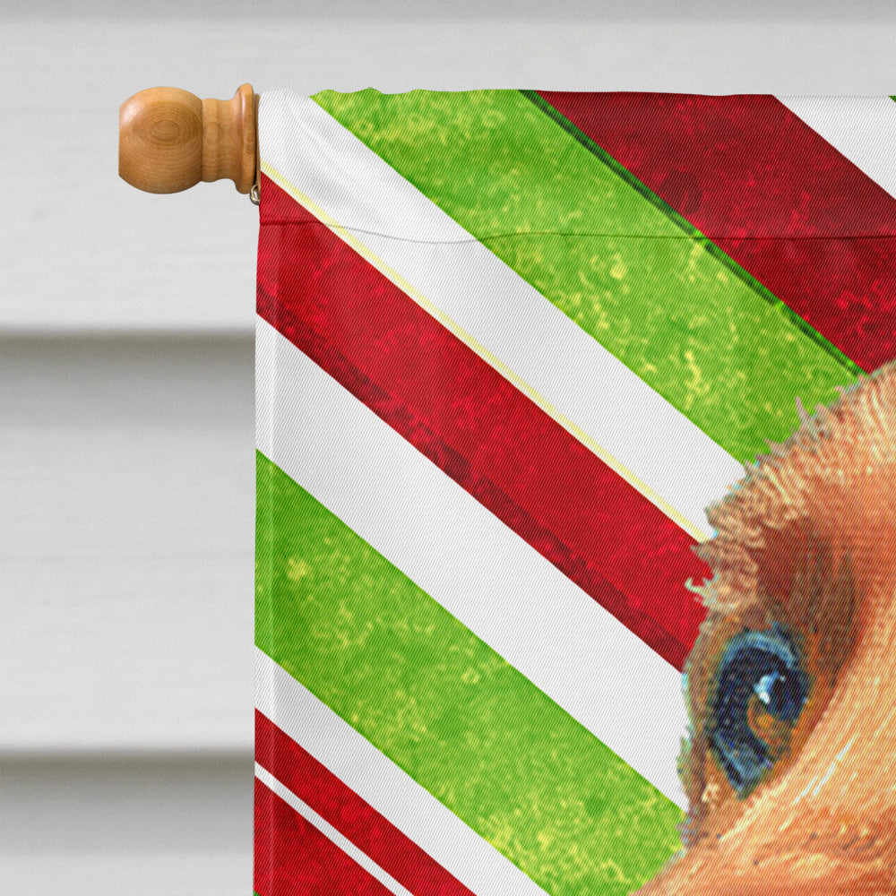 Irish Setter Candy Cane Holiday Christmas House Flag 28x40 Porch Sleeve Pole Decorative Outside Yard Banner Artwork Wall Hanging, Polyester