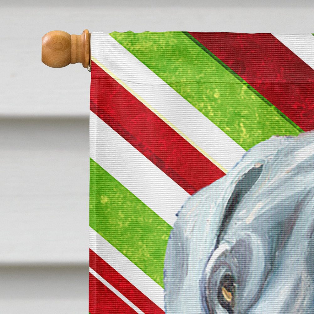 Great Dane Candy Cane Holiday Christmas House Flag 28x40 Porch Sleeve Pole Decorative Outside Yard Banner Artwork Wall Hanging, Polyester