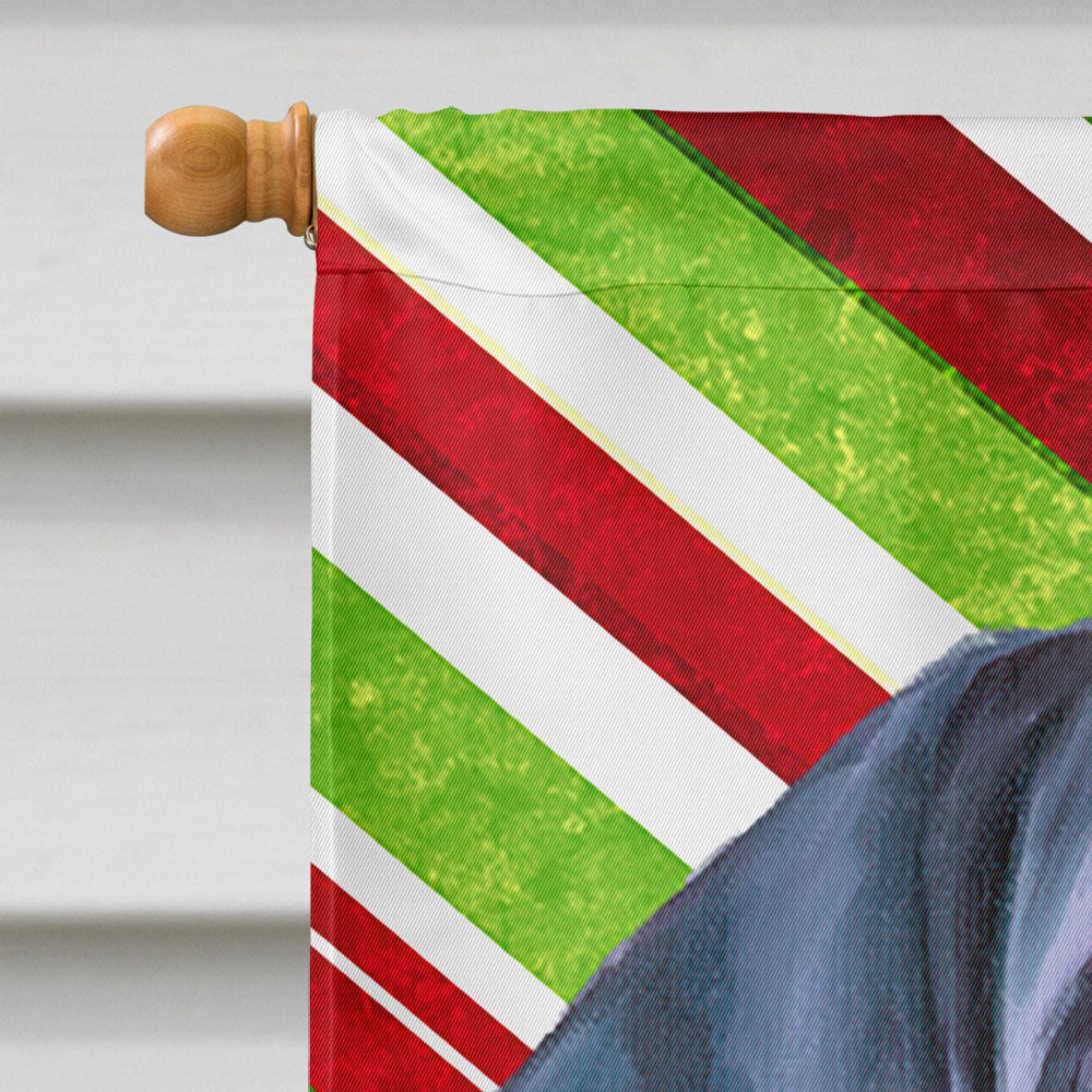 Black Great Dane Puppy Candy Cane Holiday Christmas House Flag 28x40 Porch Sleeve Pole Decorative Outside Yard Banner Artwork Wall Hanging, Polyester