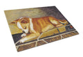 Chihuahua I See Me Cutting Board Tempered Glass Kitchen Cutting Surface, Heat Resistant Chopping, Non-Slip Feet, Food Prep & Serving