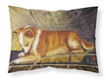 Chihuahua I See Me Standard Pillowcase Lightweight Super Soft Easy Care Decorative Artwork Pillowcase, Standard