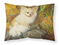Chihuahua Just Basking Standard Pillowcase Lightweight Super Soft Easy Care Decorative Artwork Pillowcase, Standard