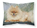 Pomeranian Full Body Standard Pillowcase Lightweight Super Soft Easy Care Decorative Artwork Pillowcase, Standard
