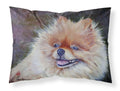 Pomeranian Head Standard Pillowcase Lightweight Super Soft Easy Care Decorative Artwork Pillowcase, Standard