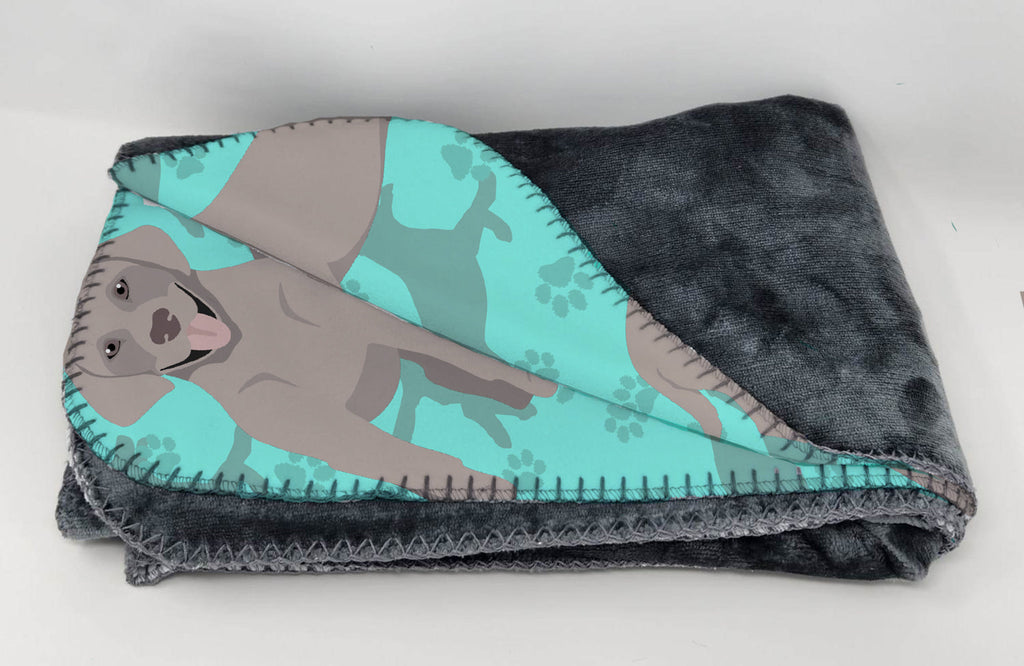 Grey Labrador Retriever Soft Travel Blanket with Bag Airplane Blanket, Indoor Outdoor Camping Blanket for Traveling, Picnics, Beach Trips, Concerts