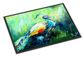 Proud Peacock Green Doormat Indoor Outdoor 24H X 36W Front Door Mat Rugs for Entryway, Non Slip Washable Low Pile,