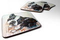 Boston Terrier Jake The Look Foam Coasters Set of 4 Cup Coasters for Indoor Outdoor, Tabletop Protection, Anti Slip, Mouse pad Material