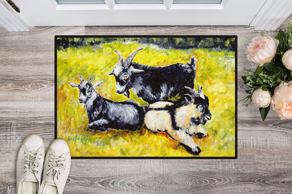 Three Goats Doormat Indoor Outdoor 24H X 36W Front Door Mat Rugs for Entryway, Non Slip Washable Low Pile,