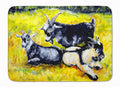 Three Goats Memory Foam Kitchen Mat Machine Washable Anti-Fatigue Cushion Comfort Bath or Kitchen Rug