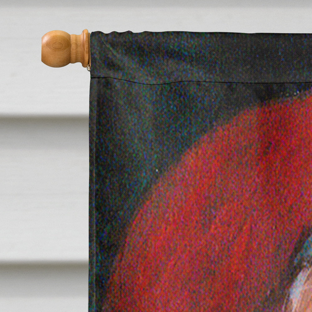 A Little Bird Told Me Santa Claus House Flag 28x40 Porch Sleeve Pole Decorative Outside Yard Banner Artwork Wall Hanging, Polyester