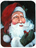 A Little Bird Told Me Santa Claus Cutting Board Tempered Glass Kitchen Cutting Surface, Heat Resistant Chopping, Non-Slip Feet, Food Prep & Serving