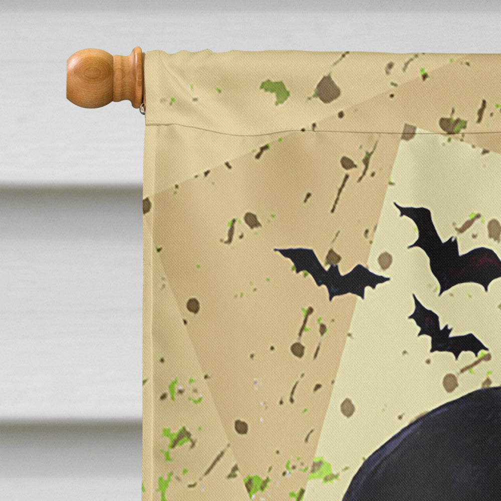Bat Crazy Halloween House Flag 28x40 Porch Sleeve Pole Decorative Outside Yard Banner Artwork Wall Hanging, Polyester