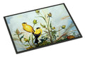 Joyful Morning Birds Doormat Indoor Outdoor 24H X 36W Front Door Mat Rugs for Entryway, Non Slip Washable Low Pile,