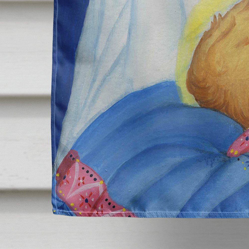 Jesus and Mary Star of Wonder Christmas House Flag 28x40 Porch Sleeve Pole Decorative Outside Yard Banner Artwork Wall Hanging, Polyester