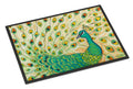 Pretty Pretty Peacock Doormat Indoor Outdoor 24H X 36W Front Door Mat Rugs for Entryway, Non Slip Washable Low Pile,