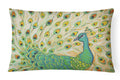 Pretty Pretty Peacock Decorative Throw Pillow 12x16 Indoor Outdoor Accent Cushion, Fabric Cover with Insert for Sofa, Bed, Porch & Living Room