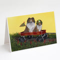 Sheltie Sheepdog Express Greeting Cards Pack of 8 Blank Cards with Envelopes Whimsical A7 Size 5x7