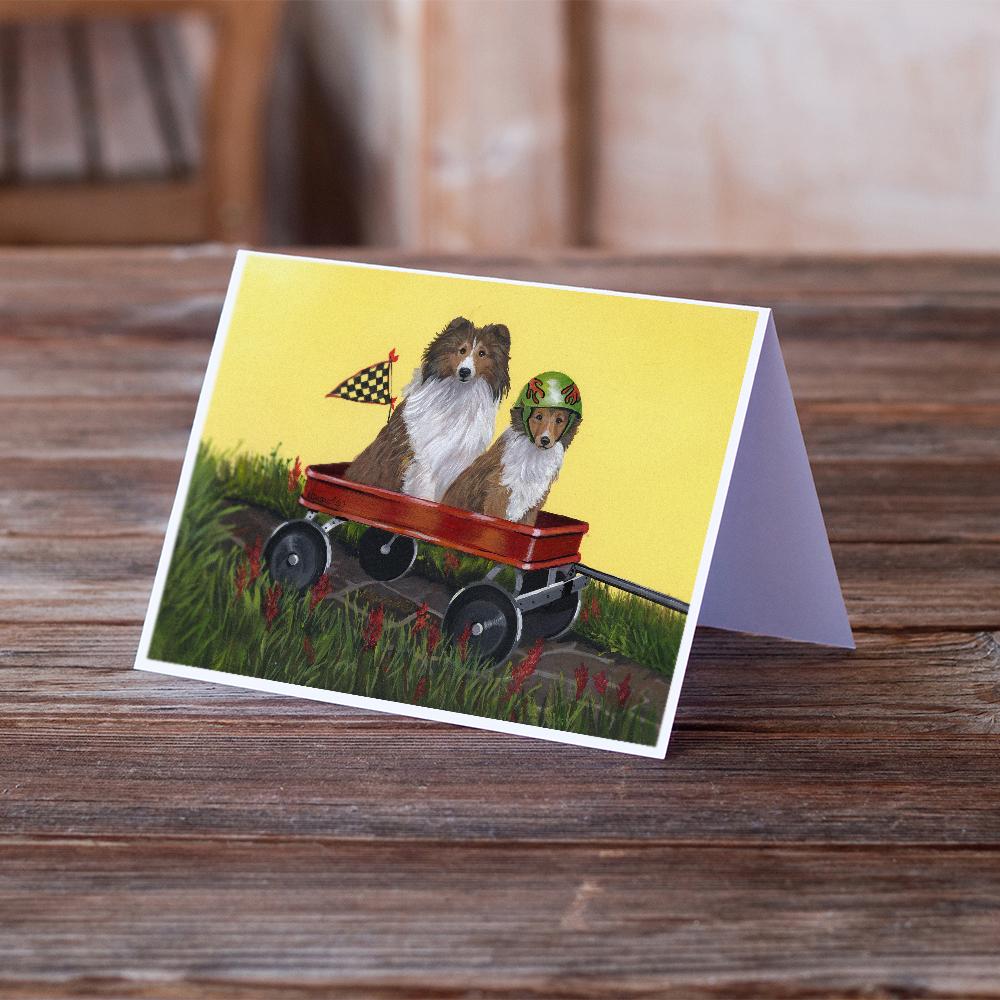 Sheltie Sheepdog Express Greeting Cards Pack of 8 Blank Cards with Envelopes Whimsical A7 Size 5x7
