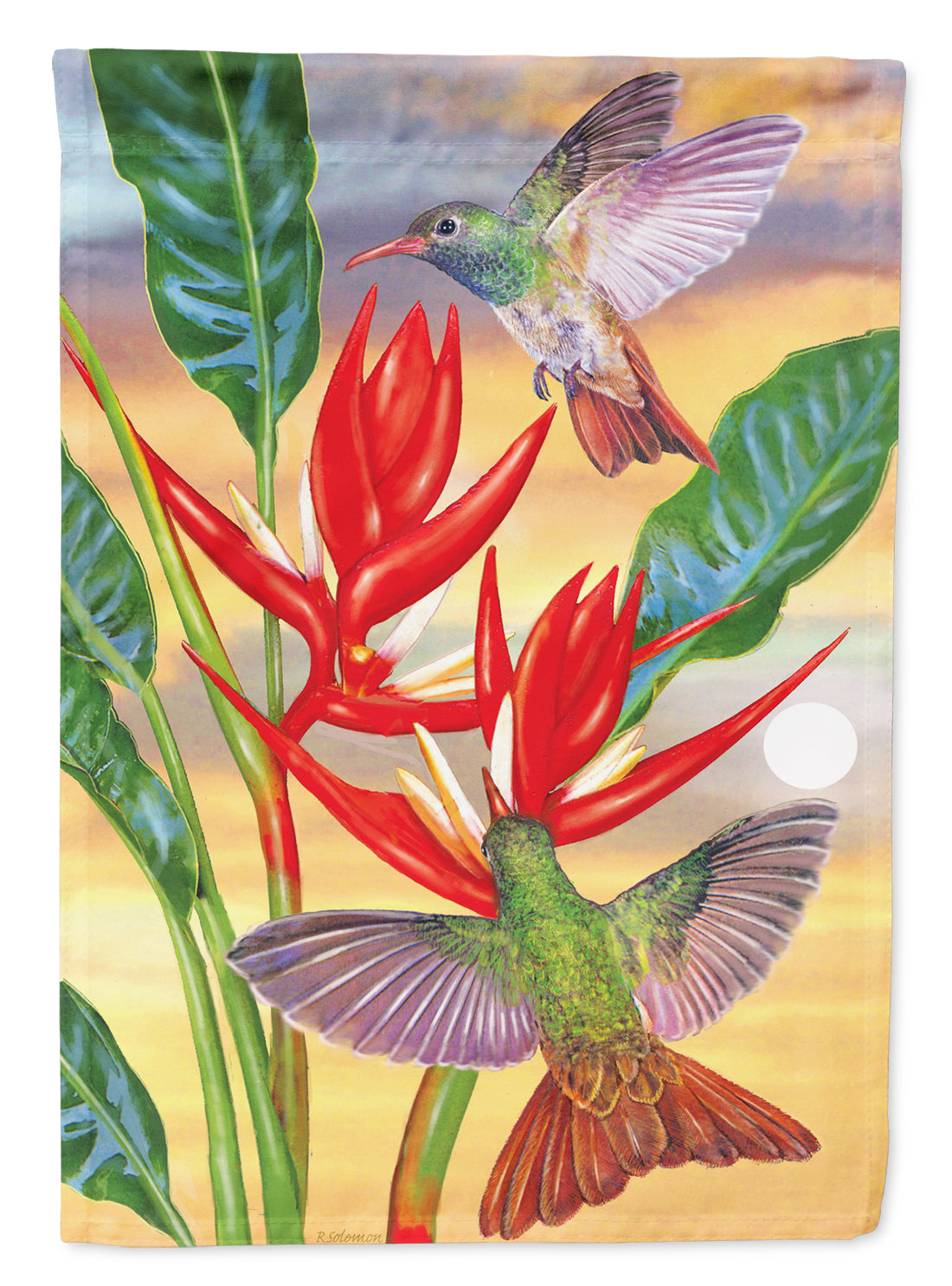 Buff Bellied Hummingbird House Flag 28x40 Porch Sleeve Pole Decorative Outside Yard Banner Artwork Wall Hanging, Polyester