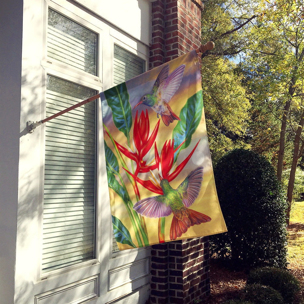 Buff Bellied Hummingbird House Flag 28x40 Porch Sleeve Pole Decorative Outside Yard Banner Artwork Wall Hanging, Polyester