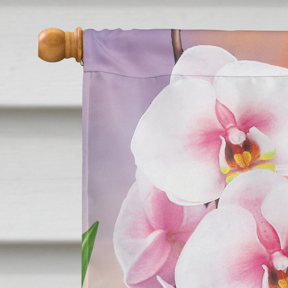 Anna's Hummingbirds Phalaenopsis House Flag 28x40 Porch Sleeve Pole Decorative Outside Yard Banner Artwork Wall Hanging, Polyester