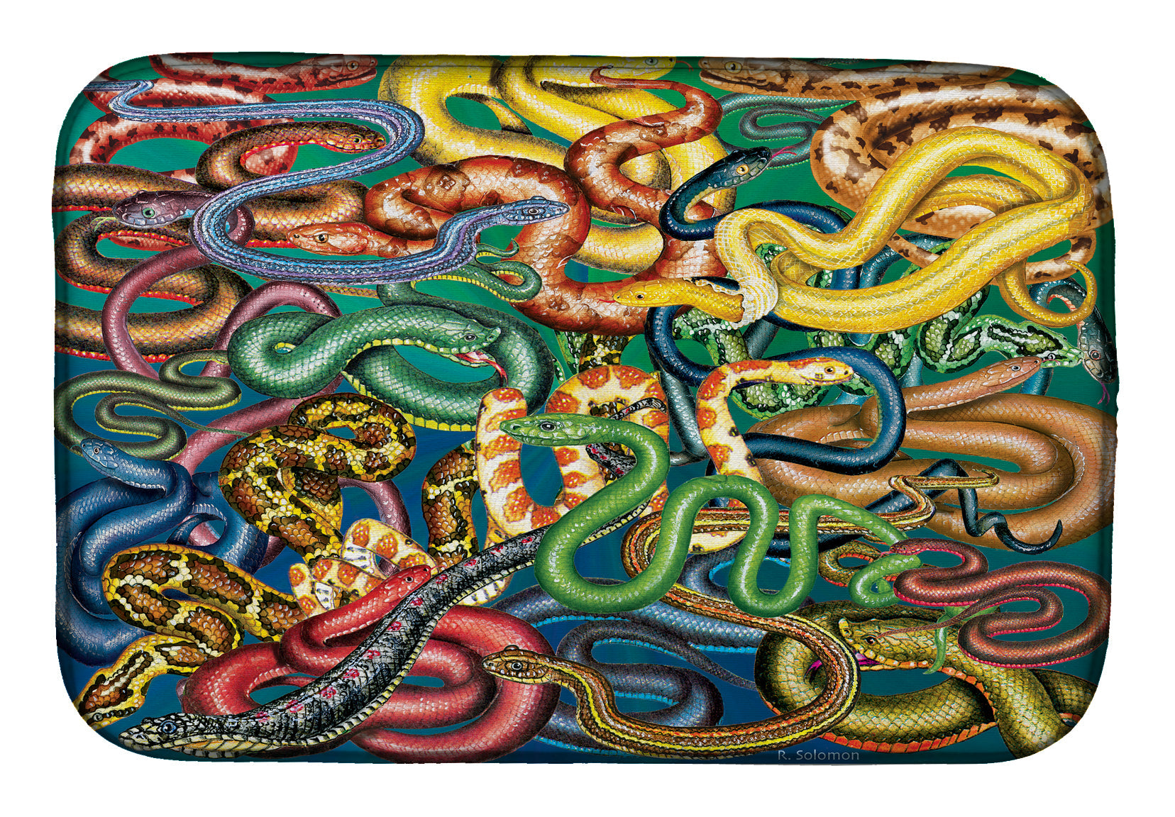 Snakes Dish Drying Mat Absorbent Dish Drying Mat Pad for Kitchen Counter Dish Drainer Mat for Countertop, 14 x 21", Multicolor