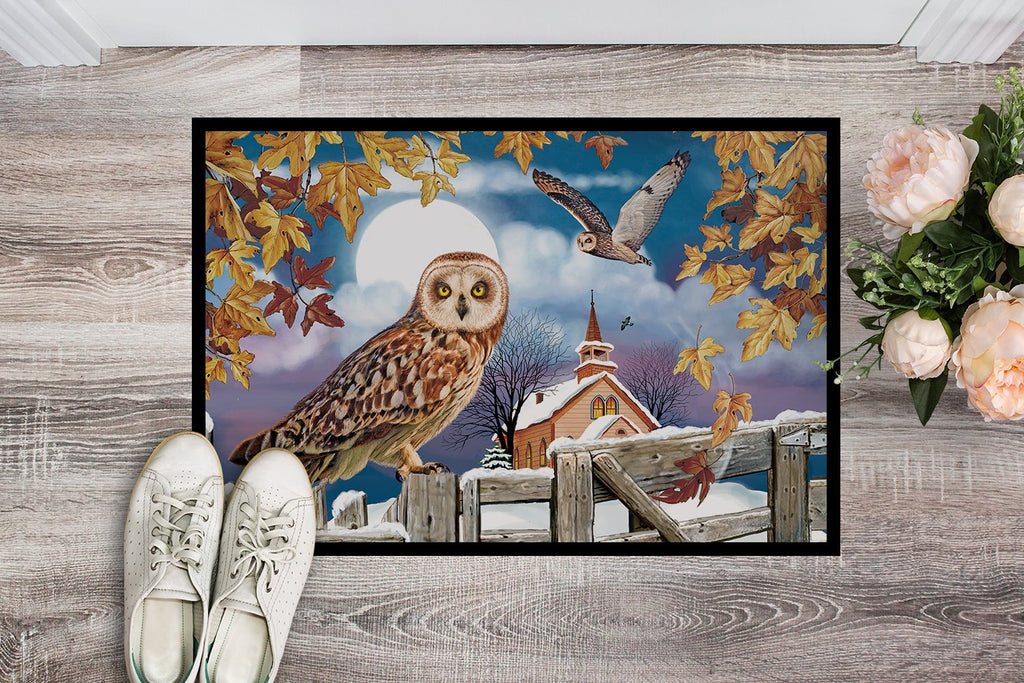 Short-Eared Owl In The Churchyard Doormat Indoor Outdoor 24H X 36W Front Door Mat Rugs for Entryway, Non Slip Washable Low Pile,